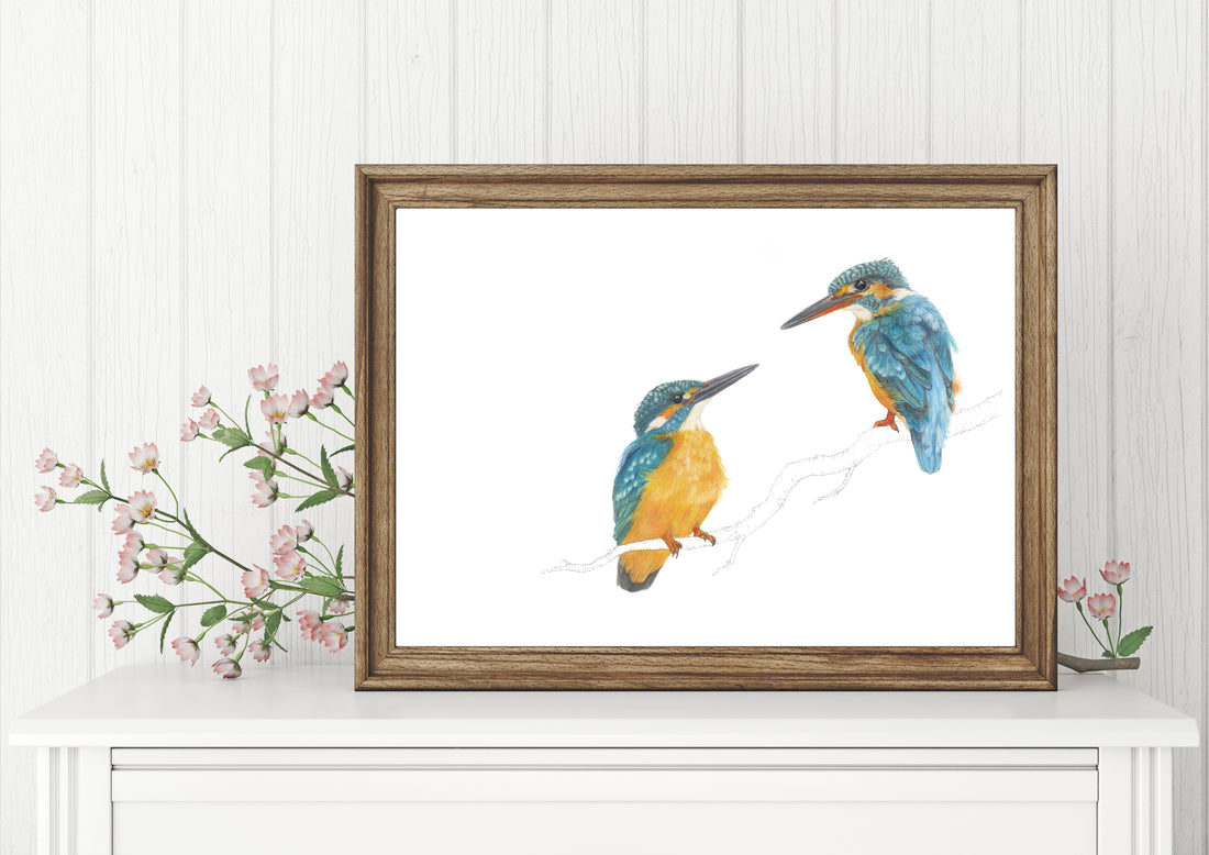 Kingfisher Pair Print