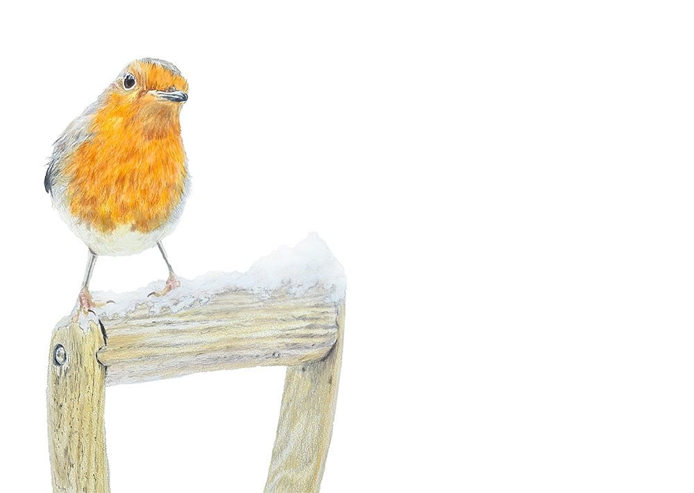 A Robins Perch Print