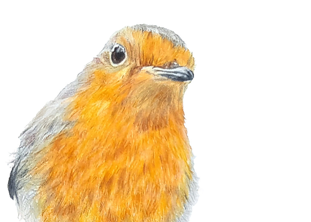 A Robins Perch Print