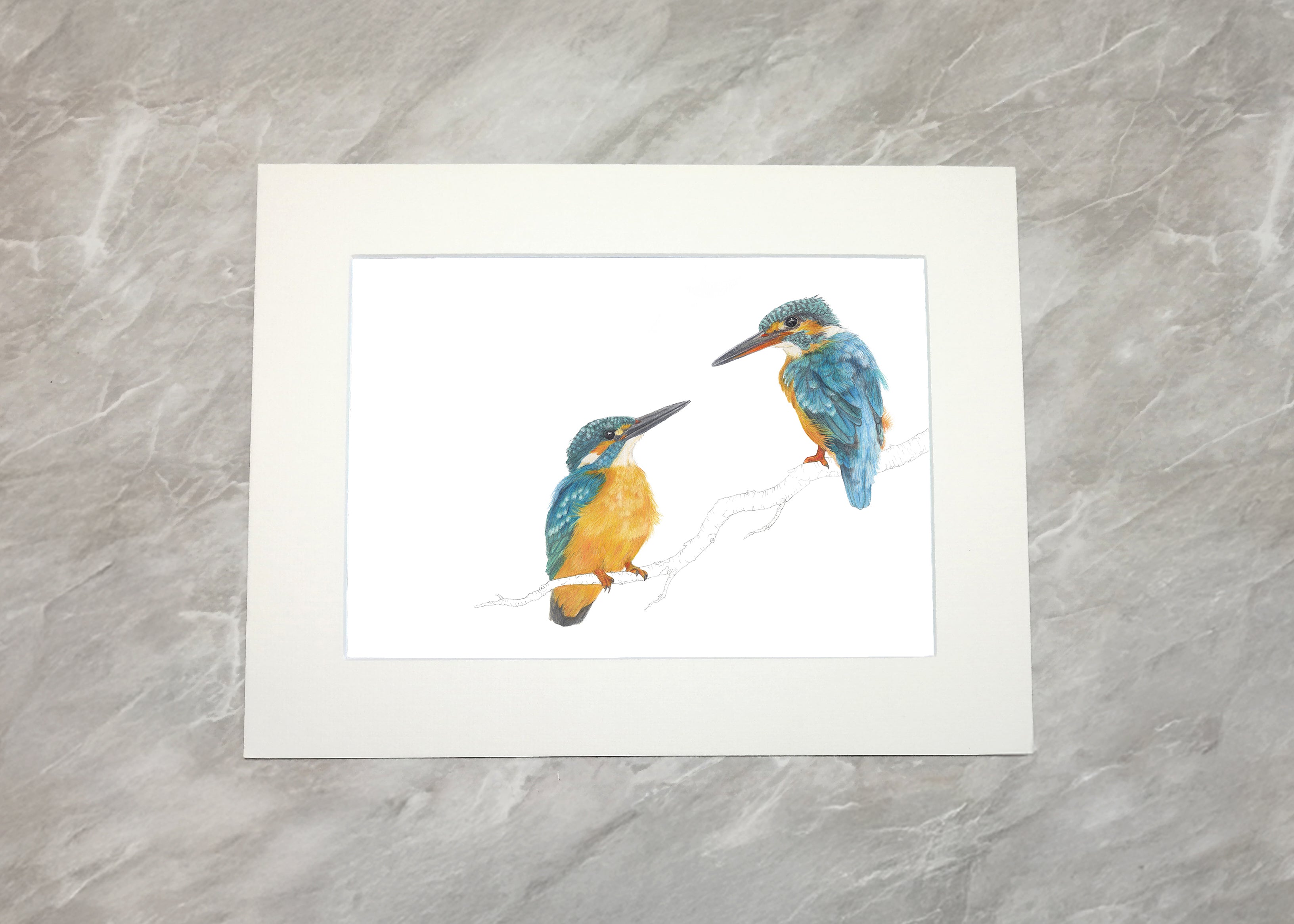 Kingfisher Pair Print