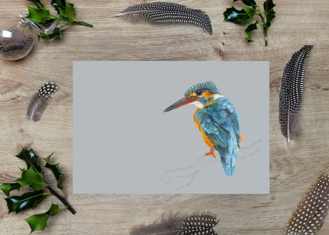 Grey Kingfisher Print